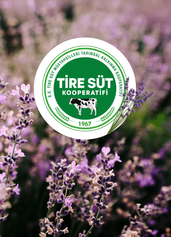 Tire Süt Kooperatifi - Tire Lavanta Festivali